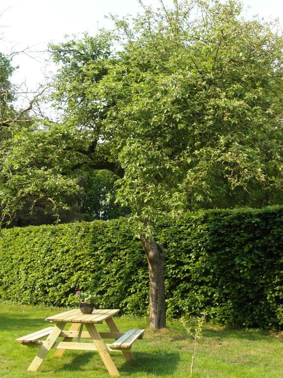 Bed & Breakfast De Haere Bed and Breakfast Doornspijk Exterior foto